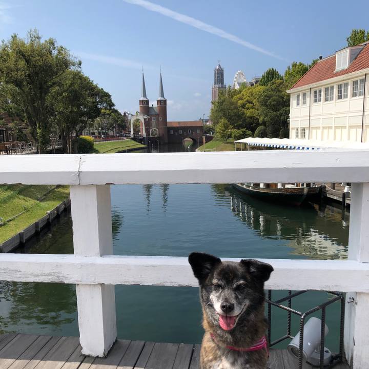 47541cc2 ae26 4cf2 ae8c 32e3f2cf5813 1649976202215