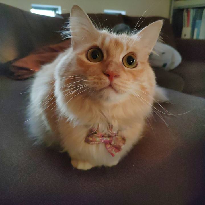 47542901 2fcf 4bcd 9dc8 2ac0b880b6a1 1666216551303