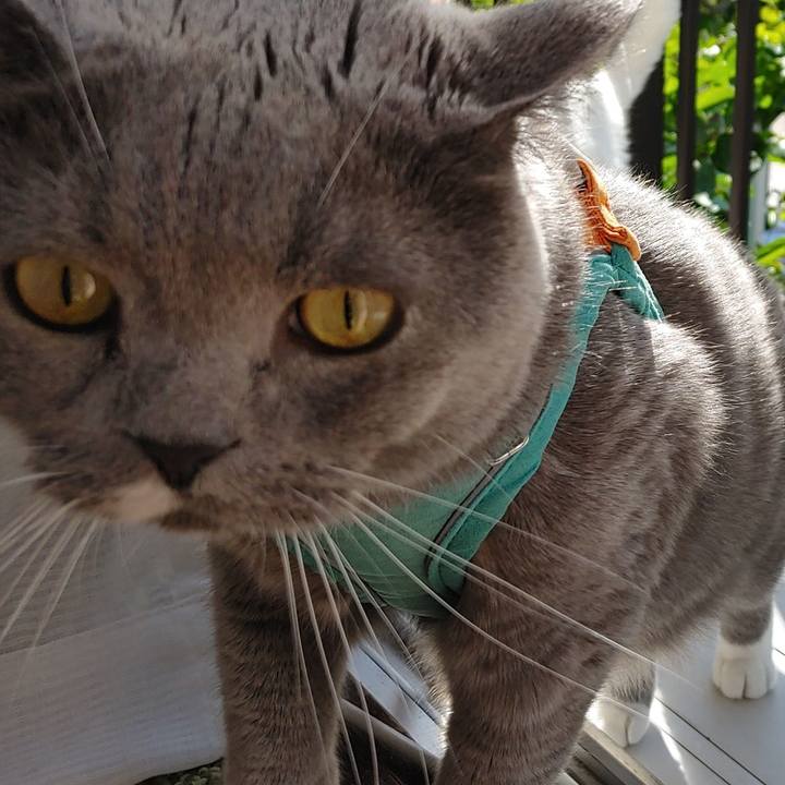 47543c03 1dfe 40ac 8315 9d37c72a118f 1653780258654