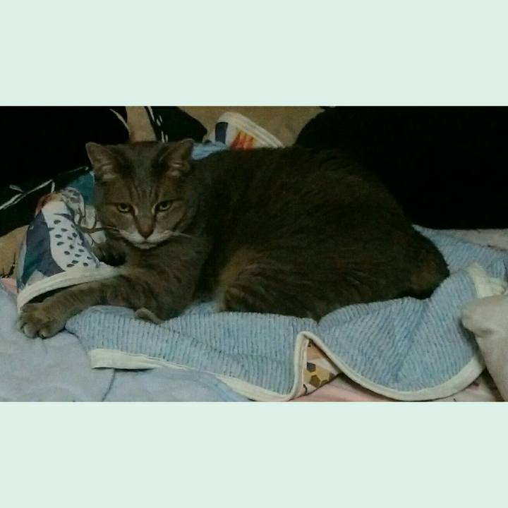 47544fa2 12ca 4ba8 aacc 7046597a89c2 1596748768941