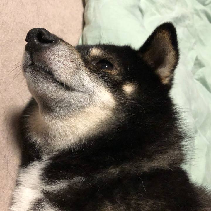 47545d96 6ba0 435e bd39 2b93dd30ff98 1597371009497