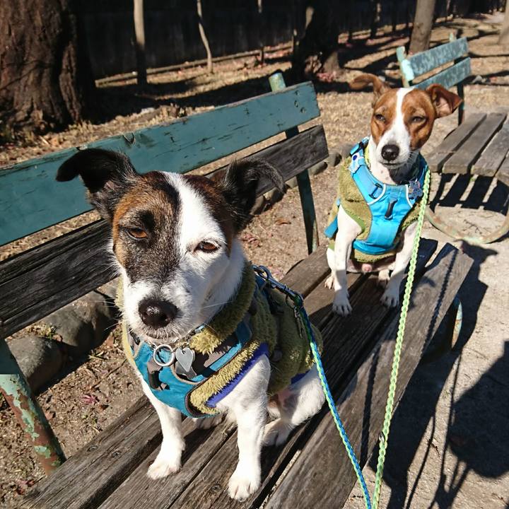 47546f89 54f3 4fb3 9ca7 6d6aace9dfb7 1608081867751