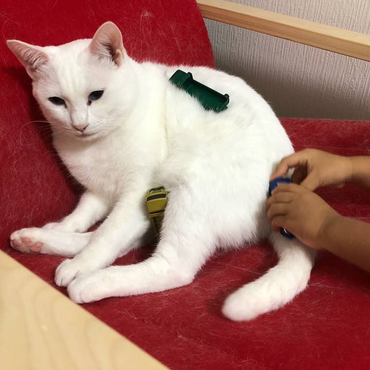 47548a8e d5b0 45a3 9888 1d97f67c423c 1537708738001