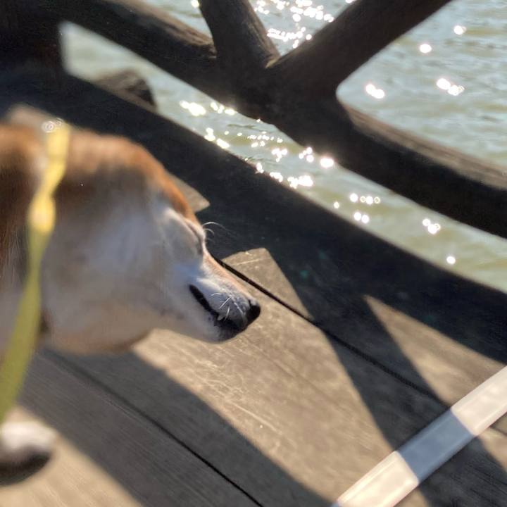 47548ea6 a9ba 4c77 8dc3 0f5ee268d8f7 1643352790873