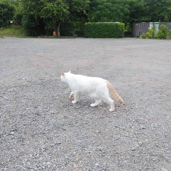 475495b9 df3a 4acf 9364 da07cbb60ae0 1655173823745