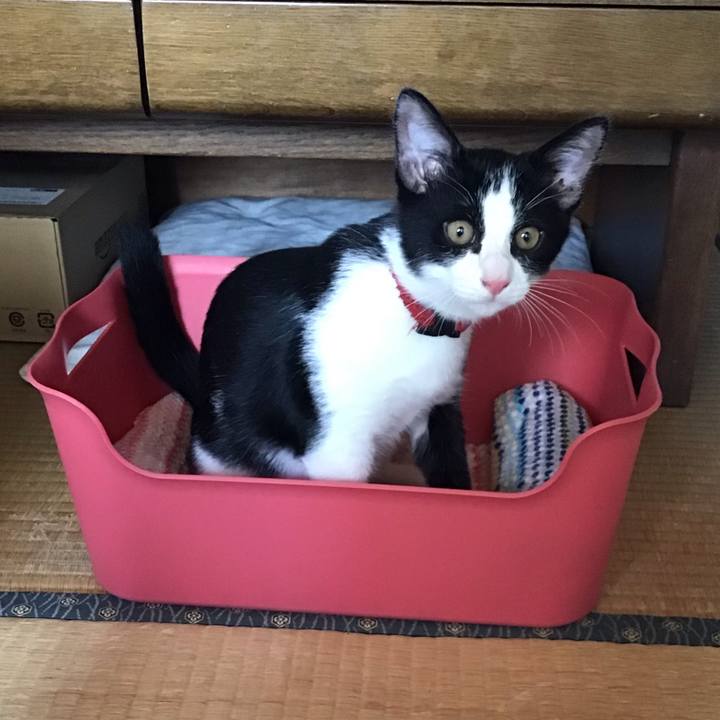 4754a001 9749 43b2 8349 b7aacd529bef 1628132459660