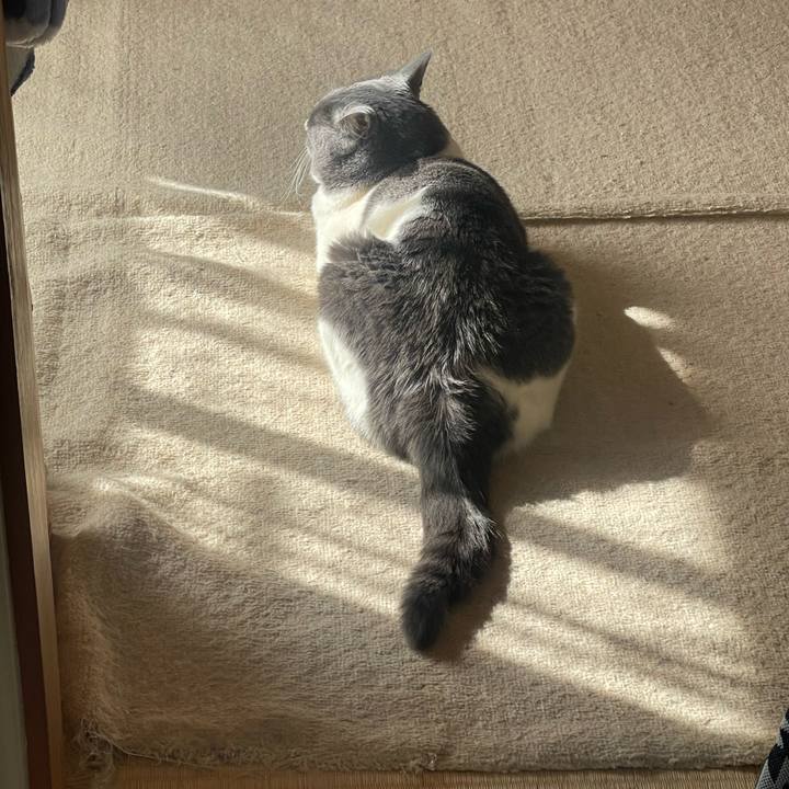 4754c022 5633 40ad 9274 3e32c55a6591 1707372083859