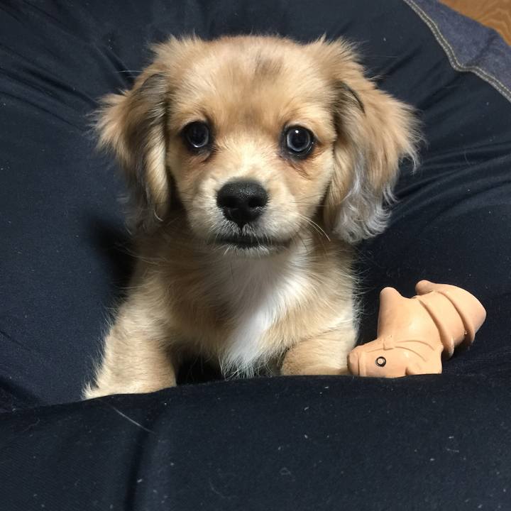 4754c1cf d98a 4a85 8451 d79c386760d3 1543065480123