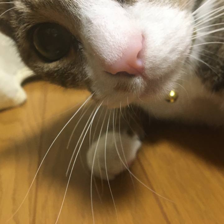 4754c5d0 6707 4fea 996f cf9936b33f20 1698466910875