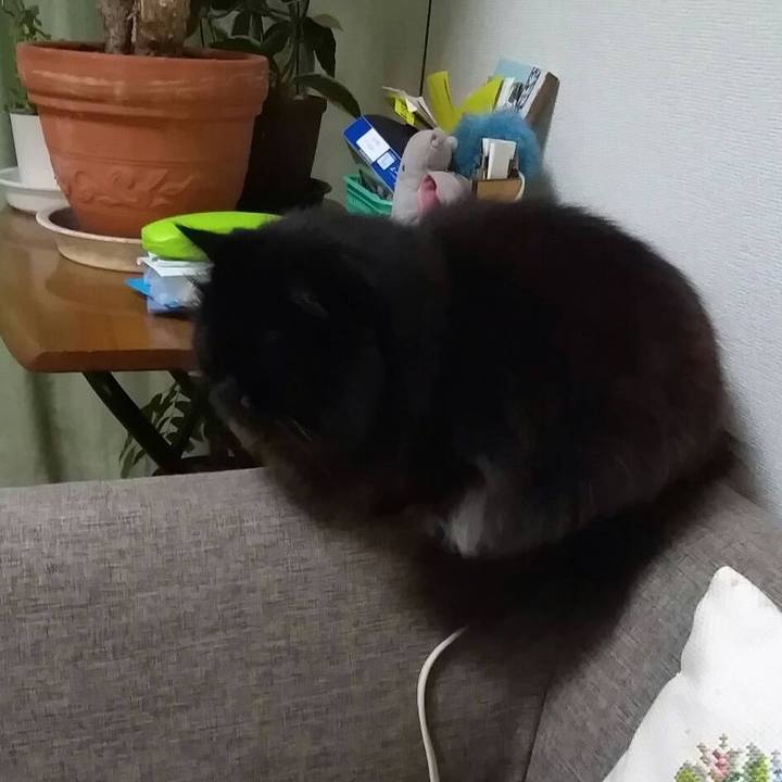 4754c95f e411 479c a9eb 9ffab9984d9f 1511002318003