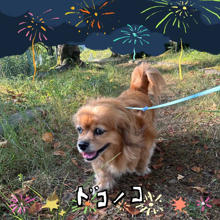 4754c974 c52f 4e89 a3ff 3a8bf20a375f 1723506798869