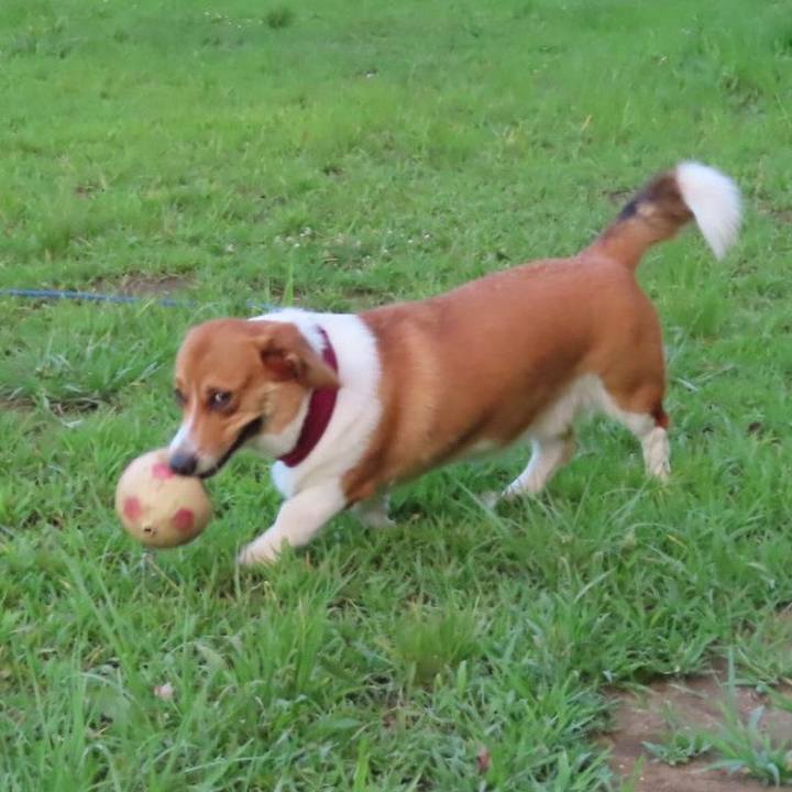 4754dd95 b1de 4bd8 9472 a5b60dbe0198 1629250121262