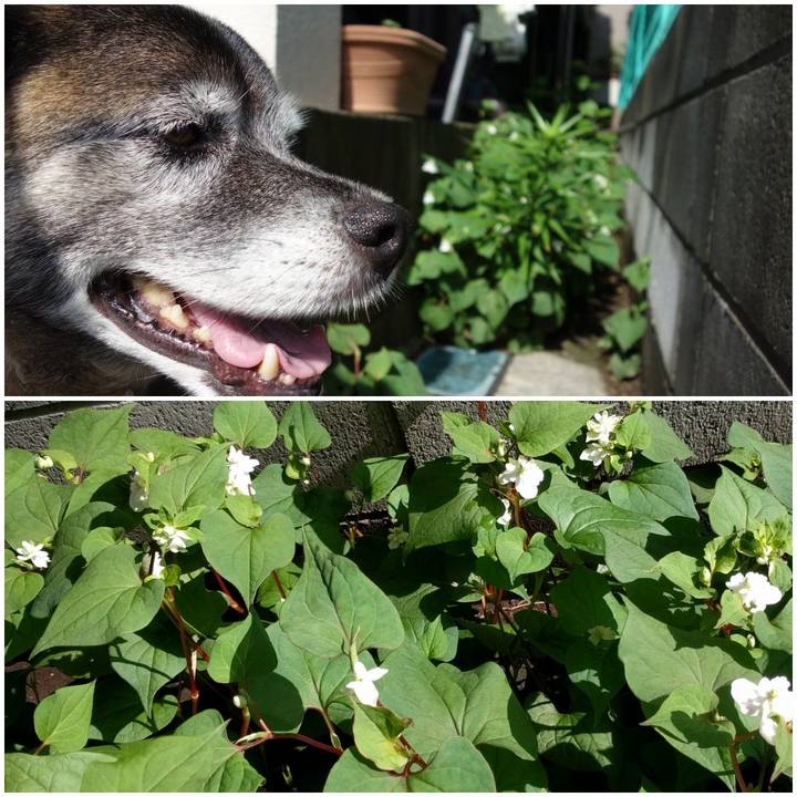 4754fee4 de14 4701 a29e 05348777d4c9 1526260321863