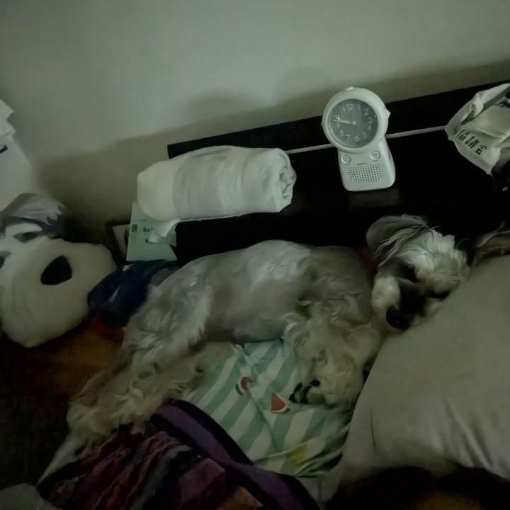 475513e4 966a 40a6 a600 739ed7d57412 1760014058225