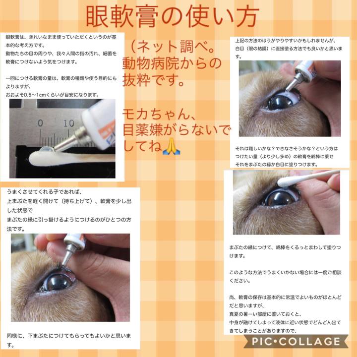 4755227a 5f69 4b29 a1a8 dfaa22e84972 1541928112423