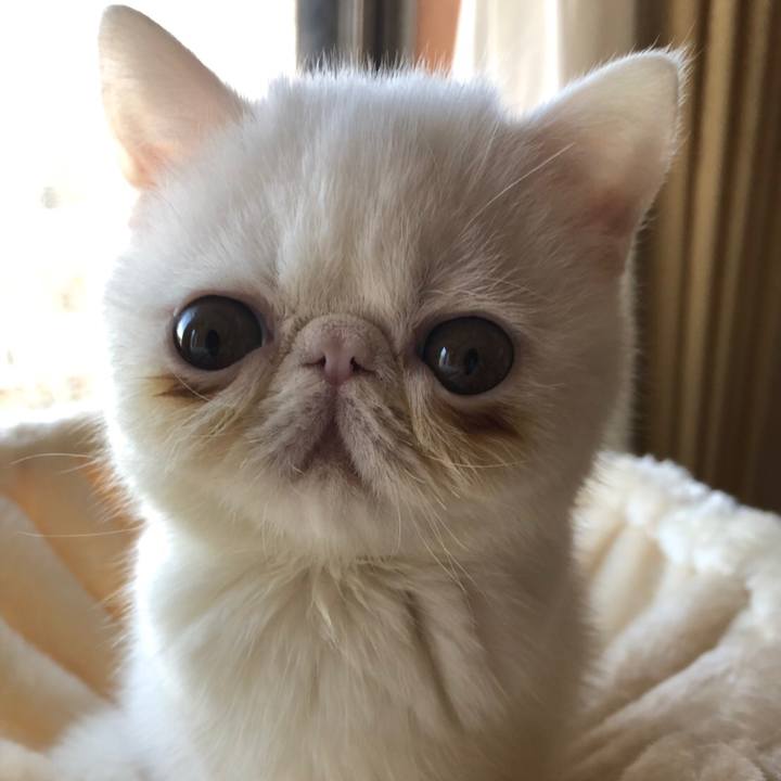 475548fb a321 4c33 a792 f468fea6c087 1546586498804