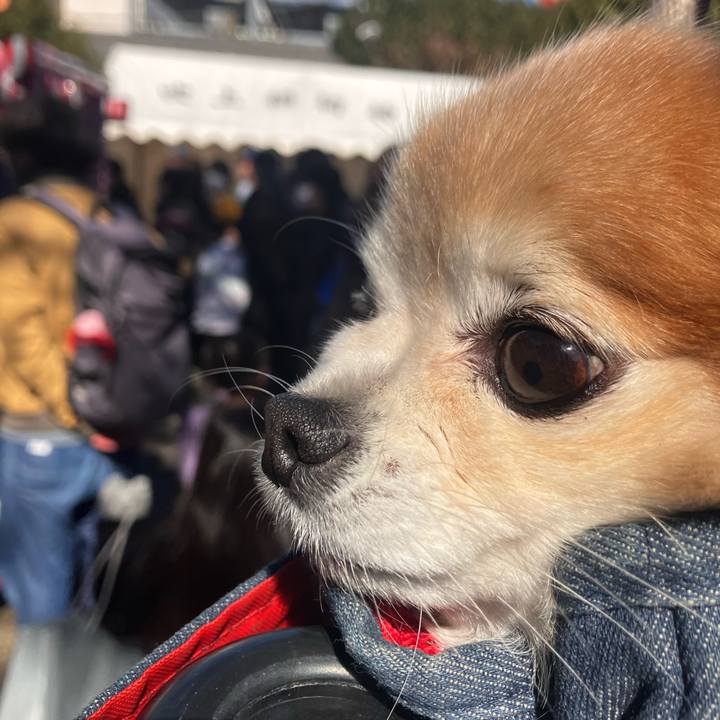 47556a70 a93e 440c 9df0 40f8f085a75e 1769937102758