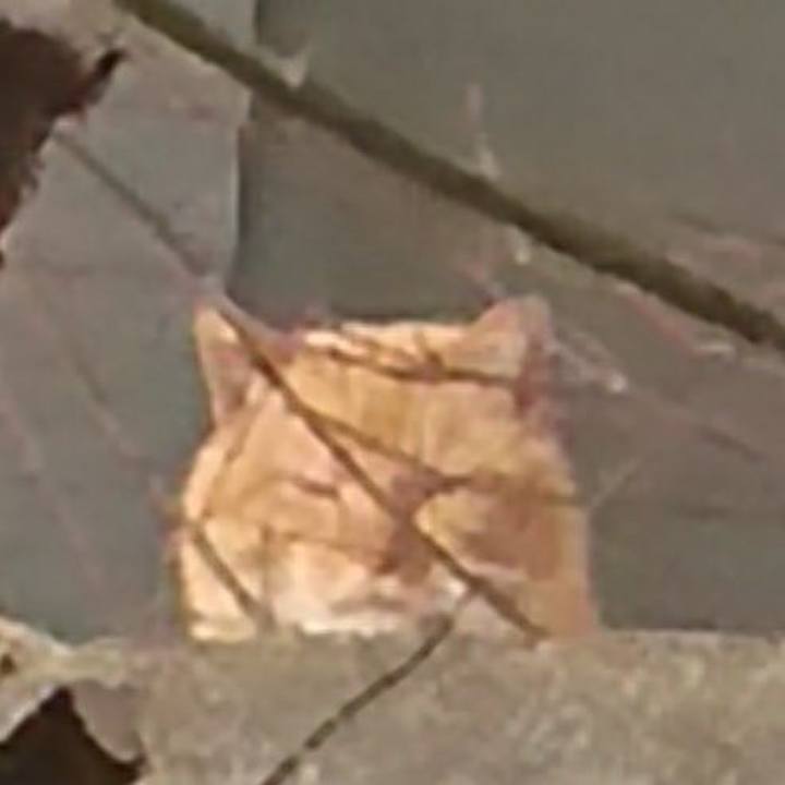 47556b24 7329 492e 97f8 85fb499e3def 1579597309777