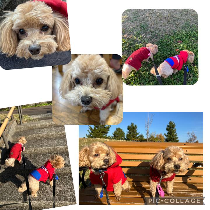 47557e8f ba9d 4f3c b499 1bda8b8f8192 1701297871361