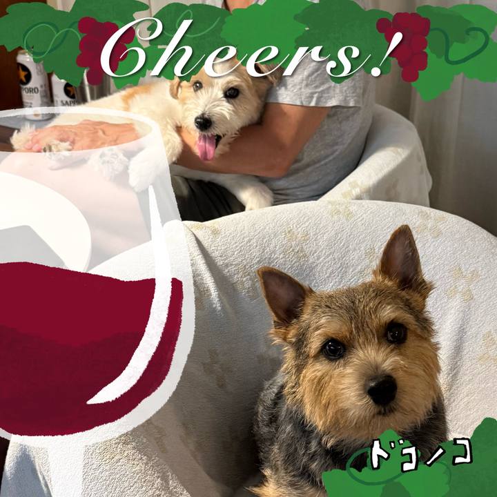 47559c05 5797 46e2 b482 6854d4121b79 1761139366111