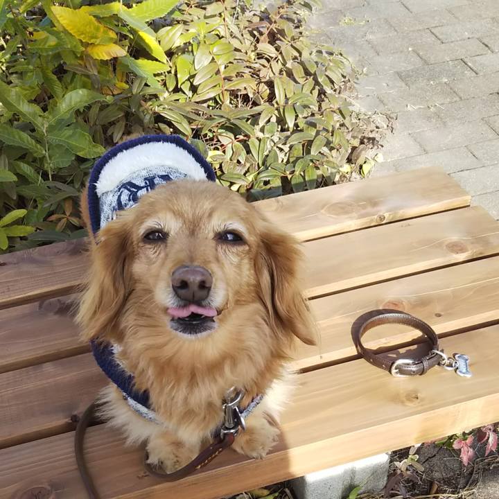 4755a203 ad4a 49c5 9141 be422330c068 1576901051144