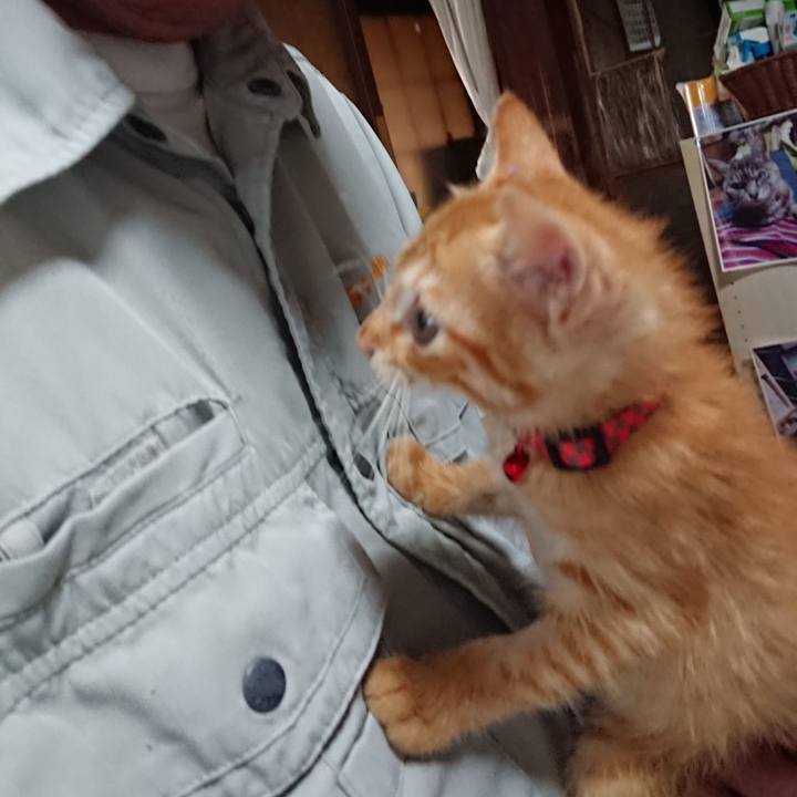 4755bee1 058f 4fc2 974a f2a0e7c165de 1628285765066