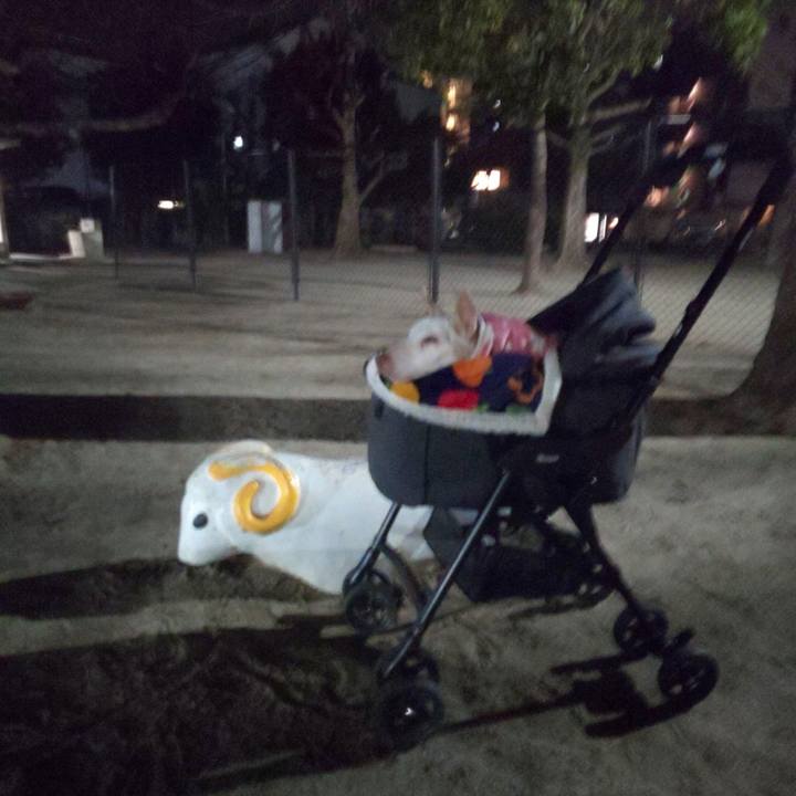 4755c2d6 3292 4270 9425 149c8be6eebb 1612010723100