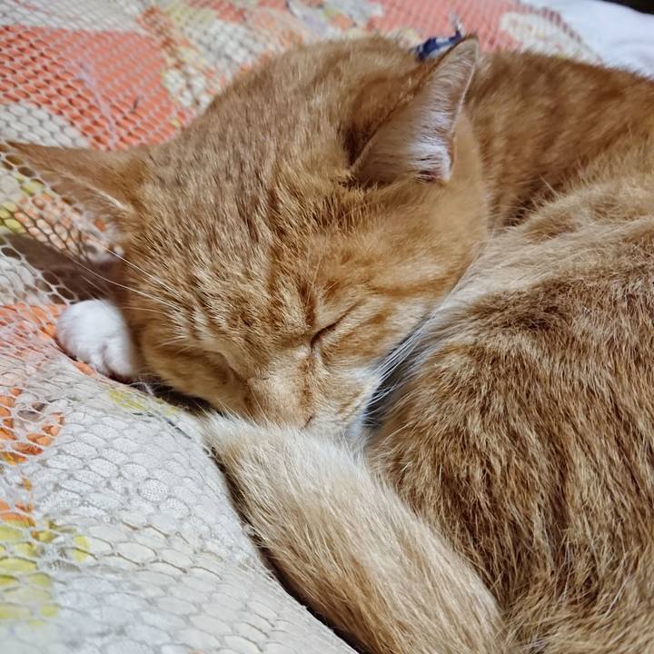 4755c803 da79 4f7f 9b2a f734a0e567b3 1574339401627