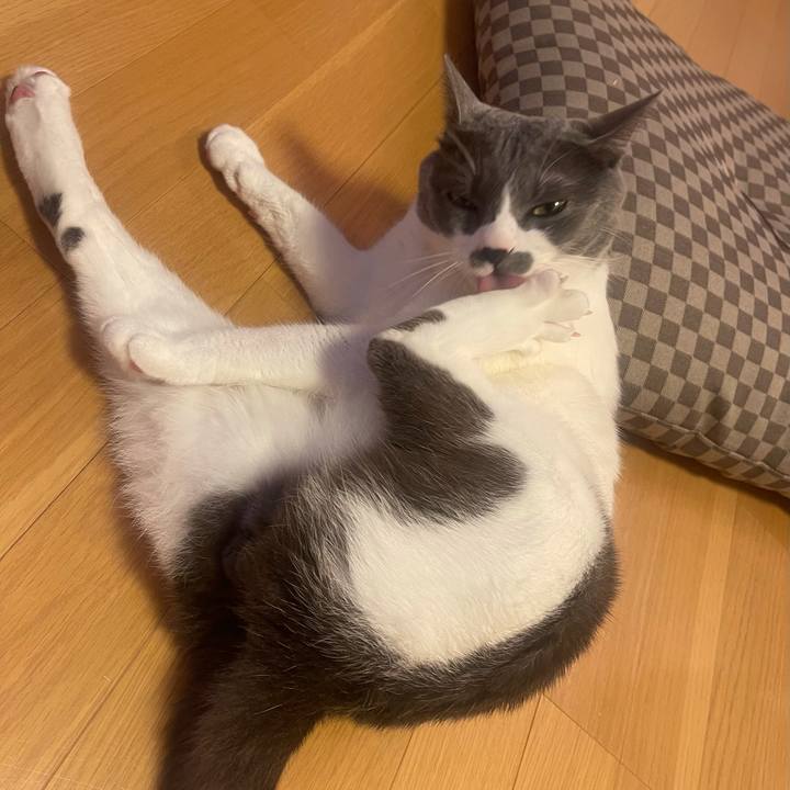 4755d5d2 7636 4cf7 beba 9ebcd2f40599 1628932218869