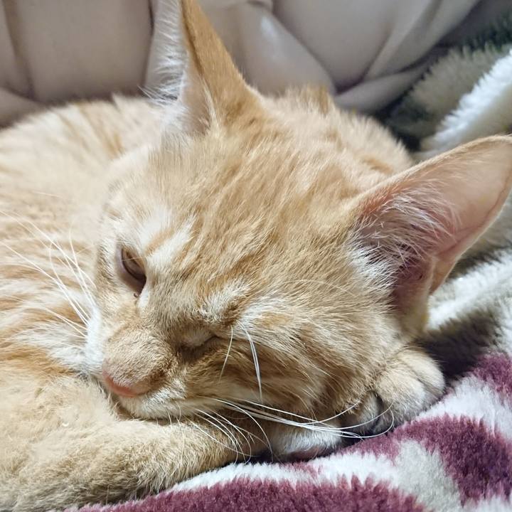 4755eb3c 3123 4ce9 b08f f9d7516941e8 1635769651859