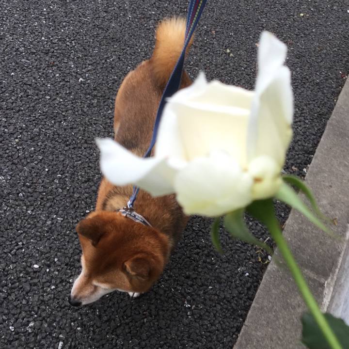 4755fa9f 45df 4d66 ab5f 96c5b1ef6984 1571621980400