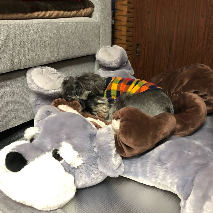 4756086f 5f74 4b1f b49c 612e575d8d3b 1574802741873