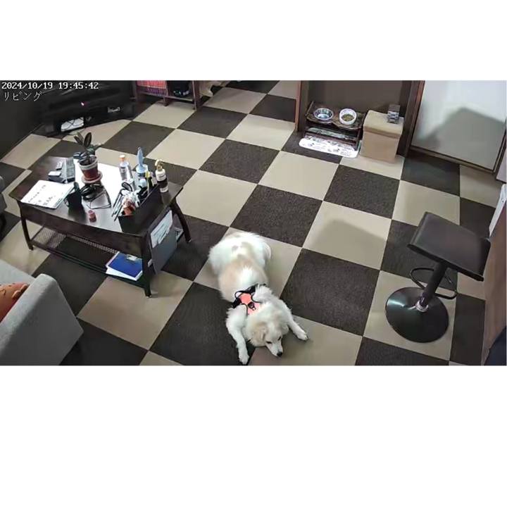 47562685 b24d 44ca ab5e 4900e6db129c 1729335006962