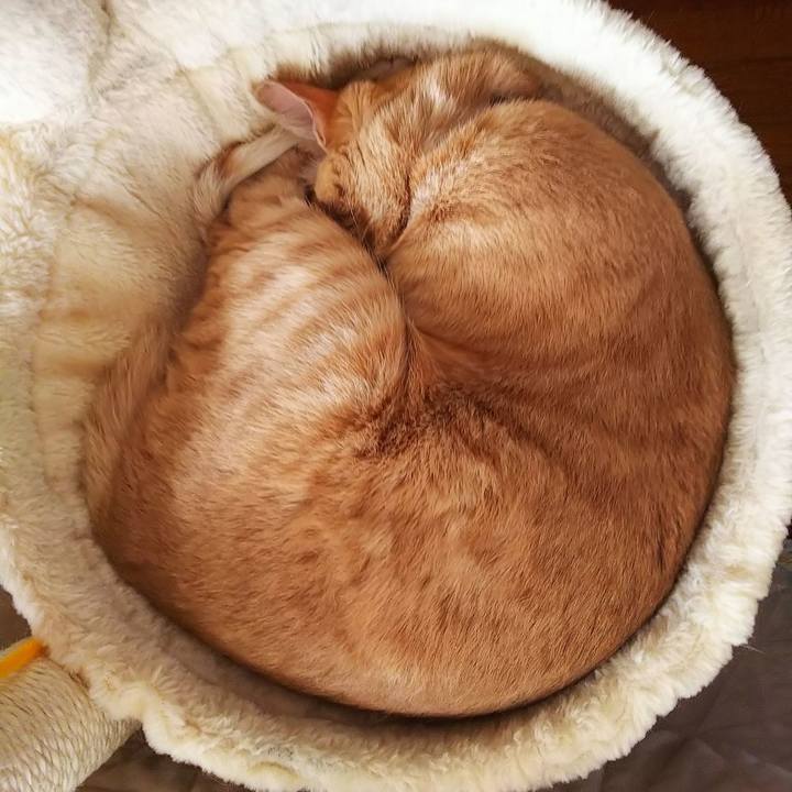 4756297a f212 4890 b021 c70687d419f1 1587860435709