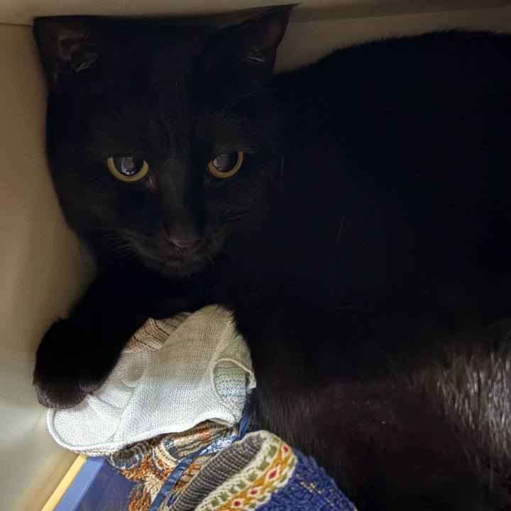 4756400a 9db7 447d b8b4 482b42e2705a 1756301668495