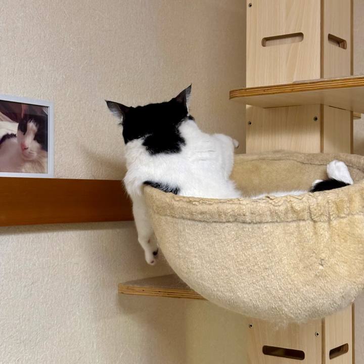 475648cf f8c1 4e3e 934c f785f6f5fbf0 1758881119537