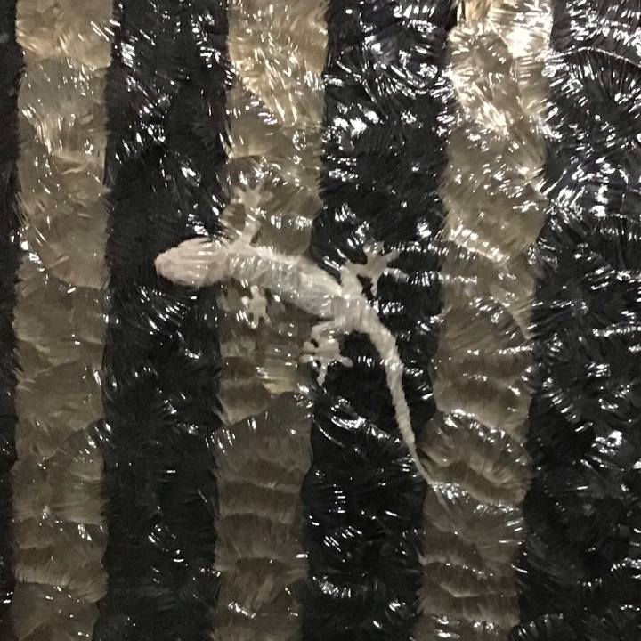 4756823c c882 4b24 b07c 71f6ee7a984a 1754047662141