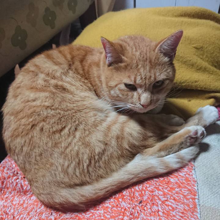 4756909c 1676 45d1 80d1 eb079c8829e2 1573464959102