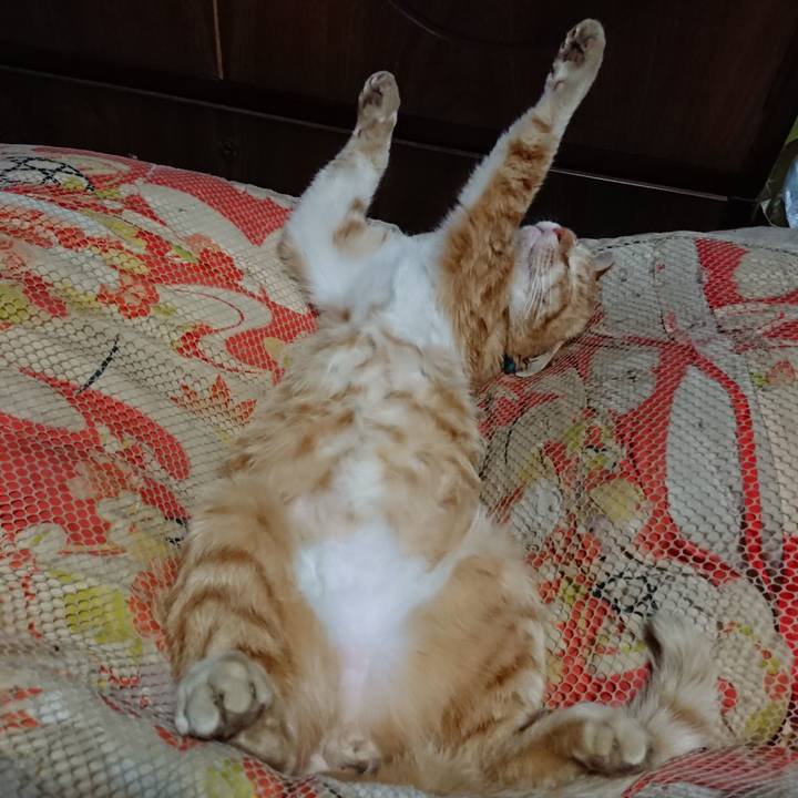 4756d4a0 6689 4d01 acac ab2f9eeb66b2 1557233540679