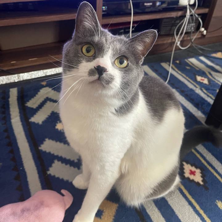 4756f306 0953 41f4 a04b acbe4c3b2048 1685243505997