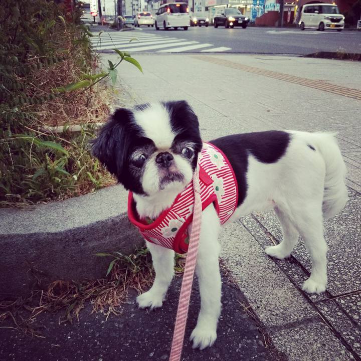 47573c5e 16a1 4c8b b665 ffafdc288b66 1565520535898