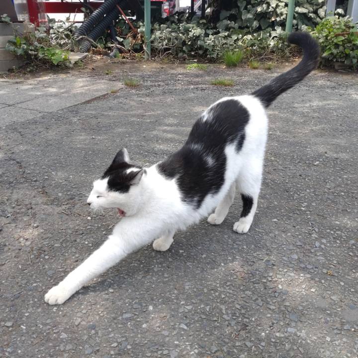 475747fc be3f 46a4 835e bcfe2de6d250 1744950246053