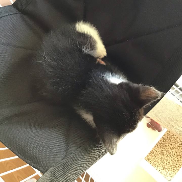 475765d5 21cb 4d13 a246 c5f67d5f51f0 1622523749474