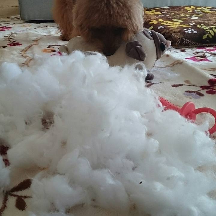 4757683f 3272 4f29 bcb0 dd95b1ce9ce8 1522372576023