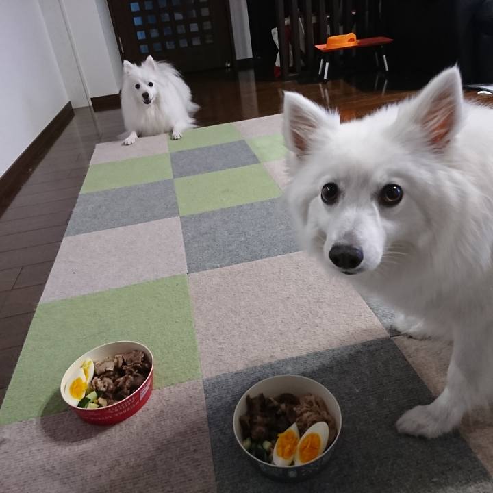 4757793c b23c 4657 86d4 d57f8a3c0216 1591173454710