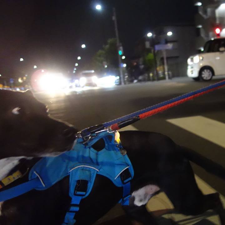 475786e7 3cf0 484a a330 5979b6a20db4 1617965249755