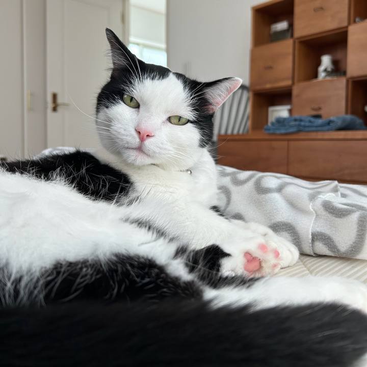 4757af87 62d8 4909 ade0 f2a9850a5e99 1759104955459