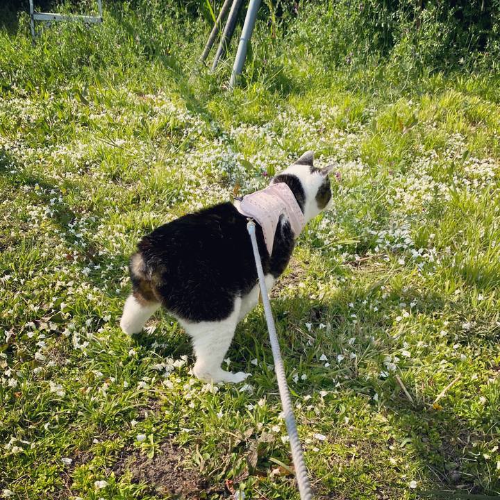 4757dd33 c04c 4a6c 9a26 05dc3d918c24 1586423018487