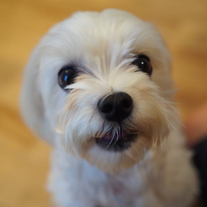 4757e314 c718 4f43 9c2a 0b09e3d6786d 1537970309078