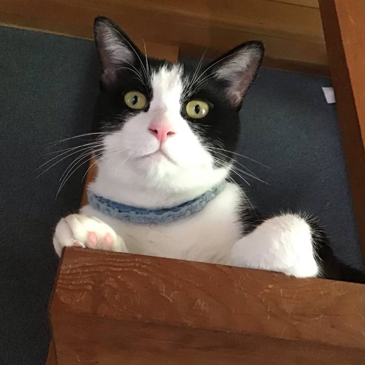 4757ed57 8fec 4d81 8c73 95c43fa7b8c4 1663037640378